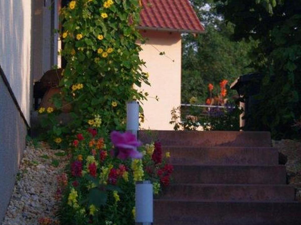Annettes Ferienstuebchen Apartment Бад Берка Екстериор снимка